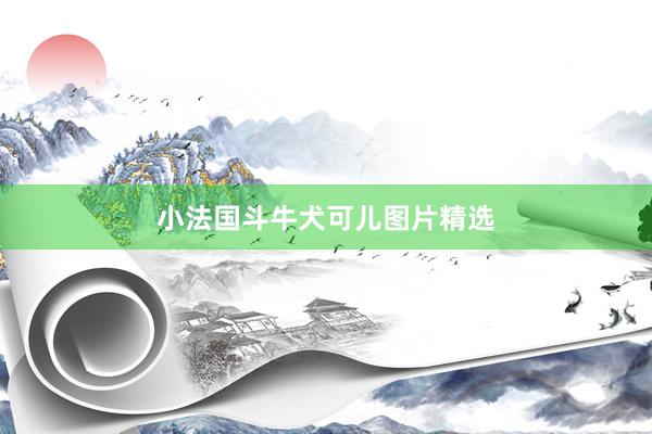 小法国斗牛犬可儿图片精选